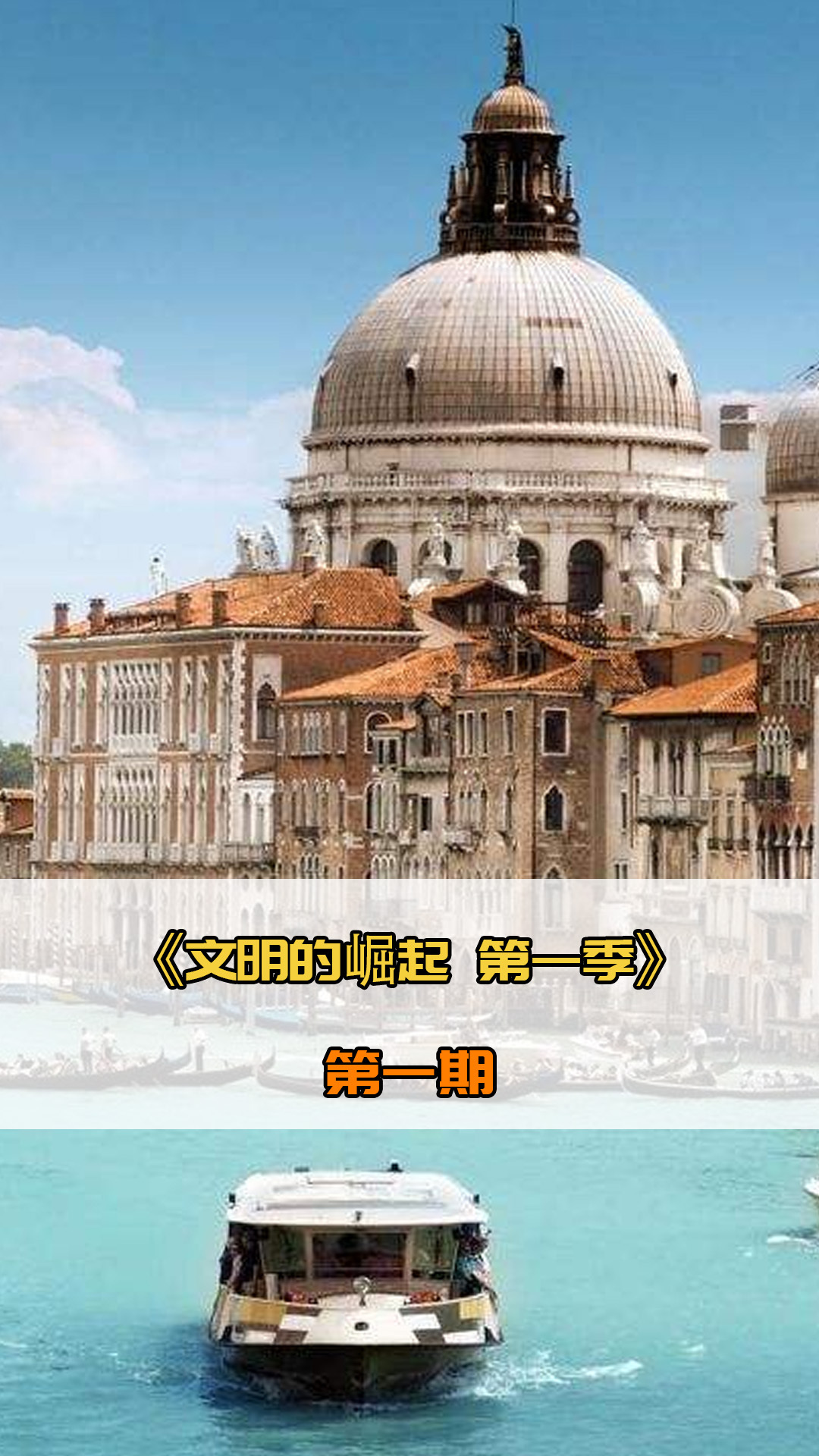 定的轮胎