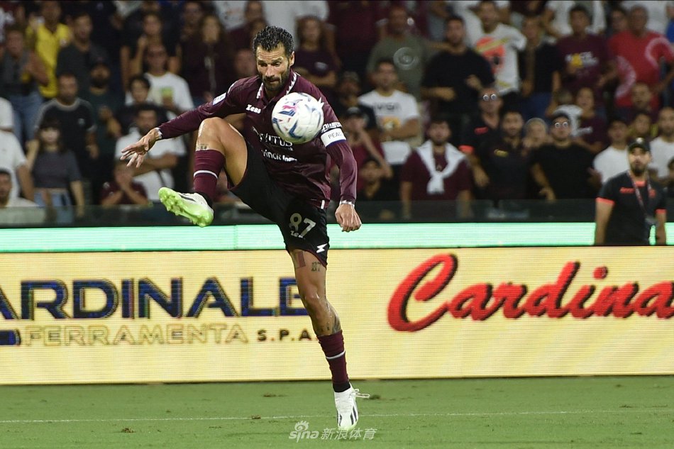 势的生动体 势的生动体